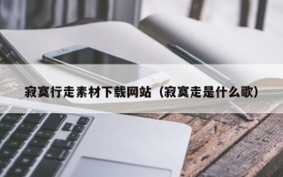 合肥寂寞行走素材下载网站（寂寞走是什么歌）